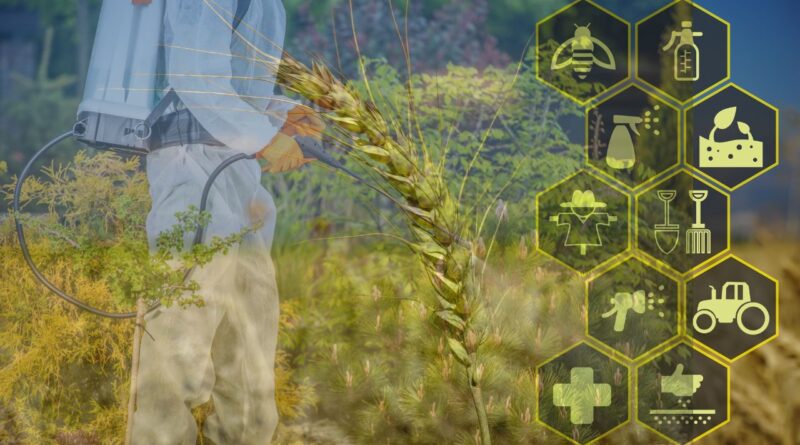 Aplicações ia agronegocio brasil