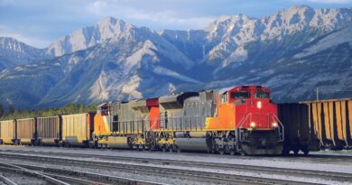 Operadores ferroviarios carga portugal