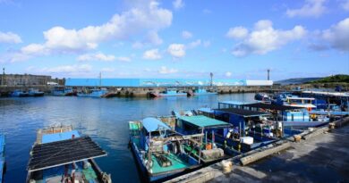 Portos pesqueiros portugal