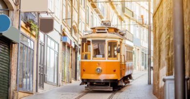 Setor de Transportes de Portugal