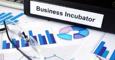 aceleradoras incubadoras brasil portugal