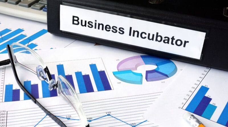 aceleradoras incubadoras brasil portugal