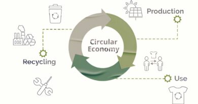 economia circular portugal