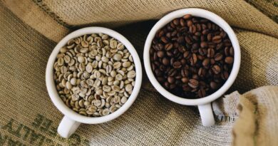 produção sustentável de café