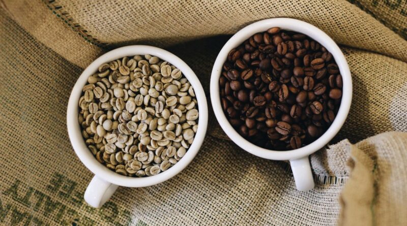 produção sustentável de café