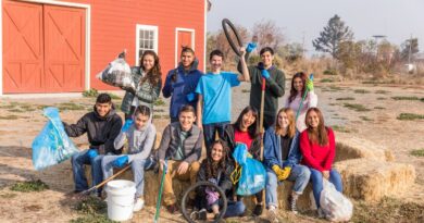 projetos sociais em portugal