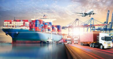 transitarios portugal 12 mais populares