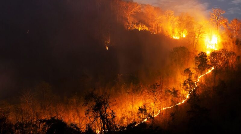 Crise incendios portugal