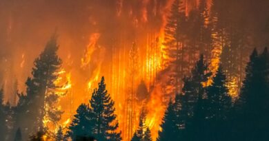 Maior incendio portugal