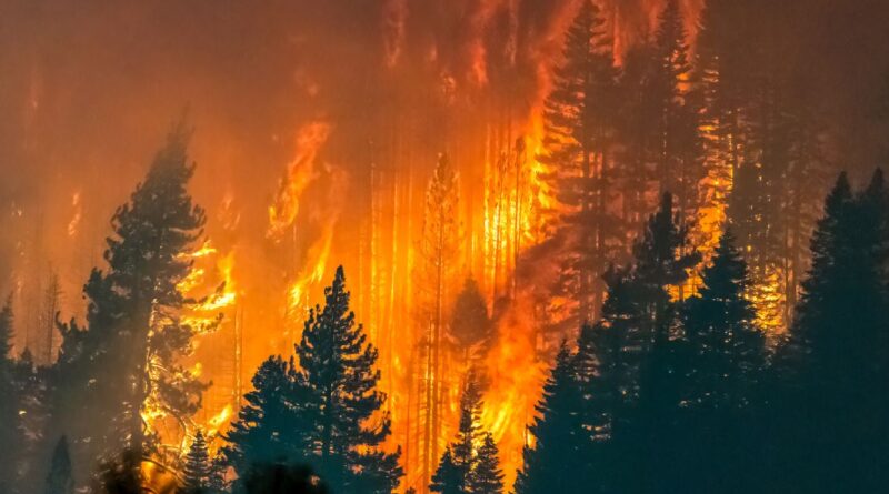 Maior incendio portugal