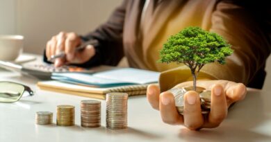 Transicao verde portugal ue