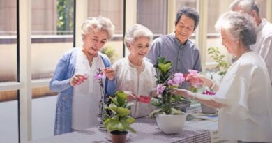 economia prateada portugal