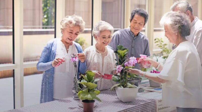 economia prateada portugal