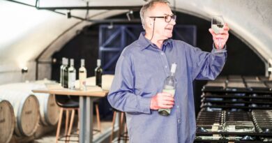 indústria vinho portugal