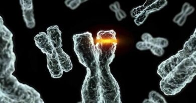 Google DeepMind Yale IA 27B cancro