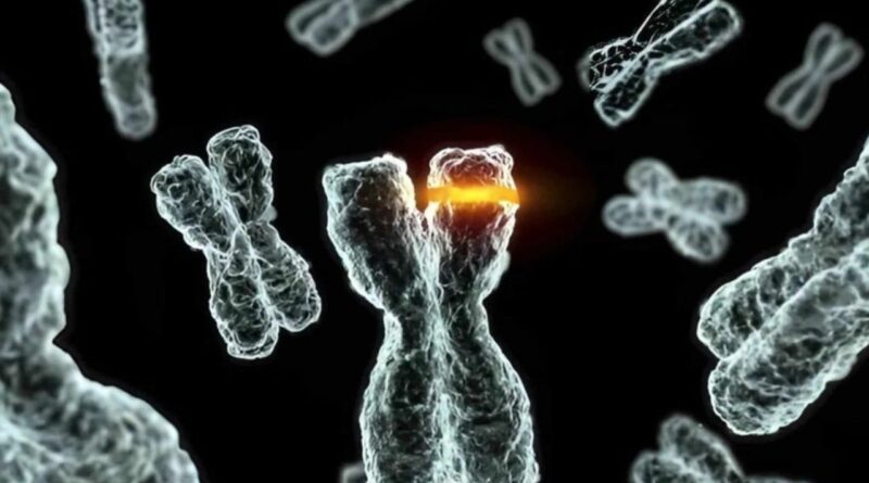 Google DeepMind Yale IA 27B cancro