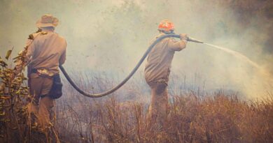 gestão florestal portugal incêndios
