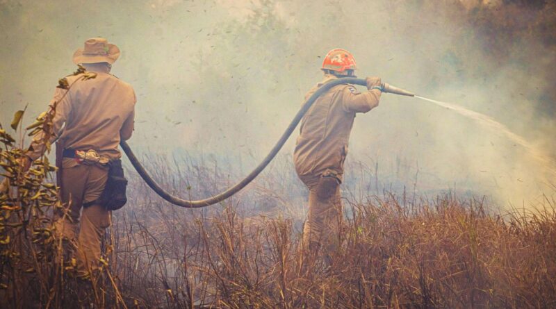 gestão florestal portugal incêndios