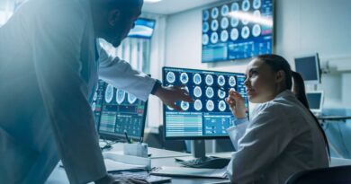 mini cérebros humanos