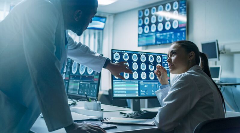 mini cérebros humanos