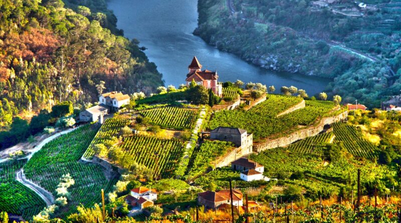 mudanças climáticas vinhas douro