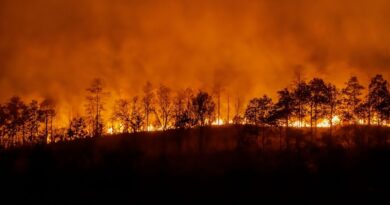 prevenção mega incêndios portugal