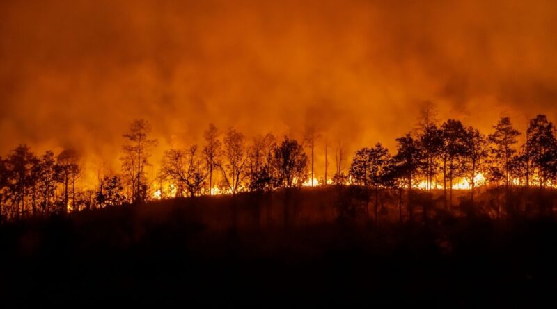 prevenção mega incêndios portugal