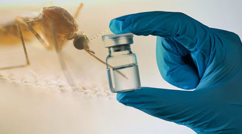 Brasil aprova vacina contra a dengue em dose única