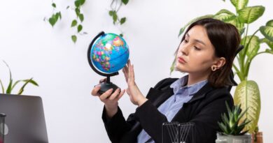 Habilidades Profissionais Valorizadas