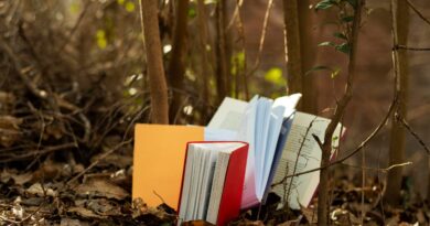 elhores livros em português