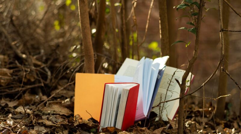 elhores livros em português