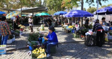 nichos de mercado promissores