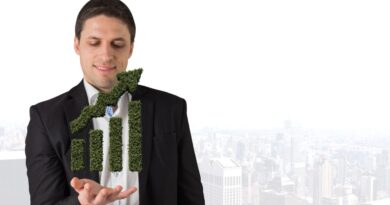 18 Negócios de Finanças Verdes