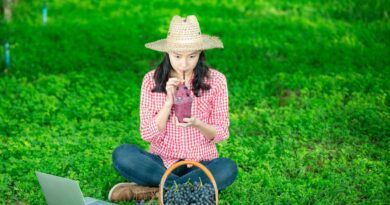 AgriTech Timor-Leste em 2026