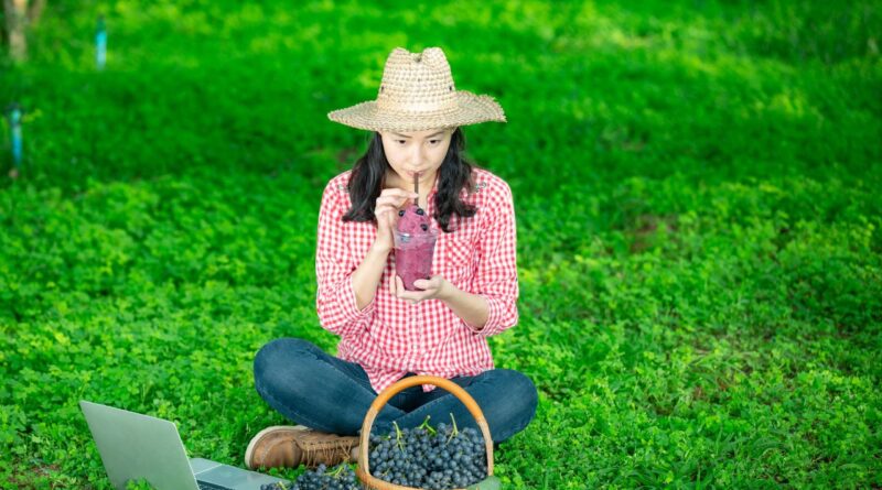 AgriTech Timor-Leste em 2026