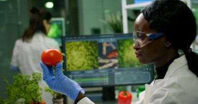 Agritech e Inovação Alimentar Angola