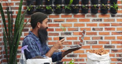 Agritech e Inovação Alimentar Cabo Verde