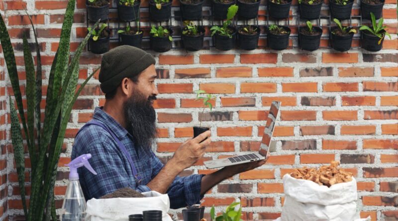 Agritech e Inovação Alimentar Cabo Verde