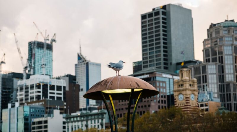 Cidades inteligentes em Timor-Leste