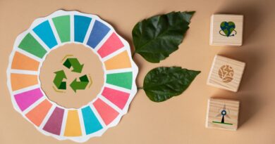 Economia Circular Guiné-Bissau