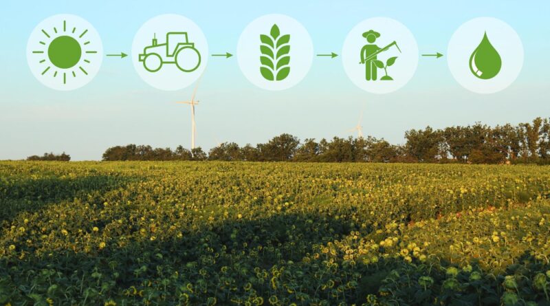 Energia Verde e 18 Agritech Food no Brasil