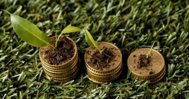 Finanças Verdes e ESG em Timor-Leste