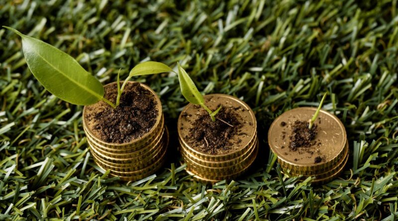 Finanças Verdes e ESG em Timor-Leste