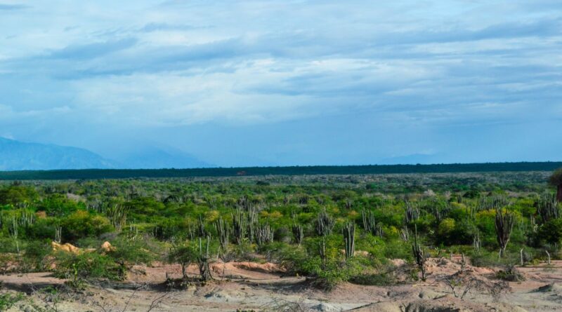 Adaptação Climática Guiné-Bissau