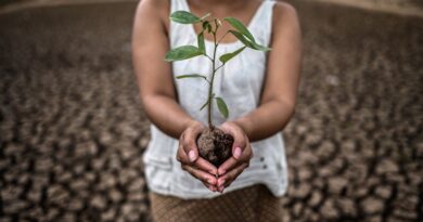 Adaptação Climática Moçambique