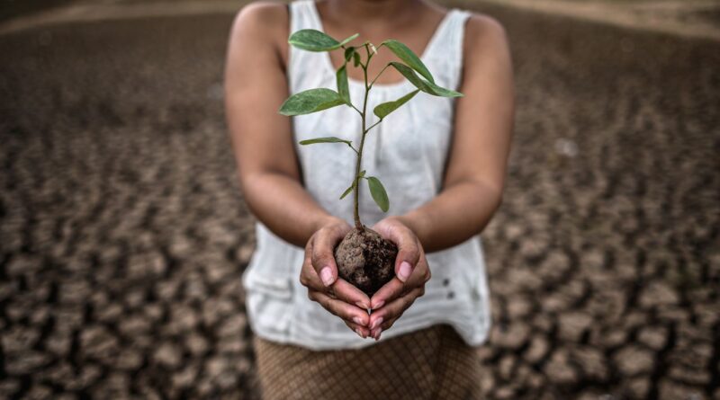 Adaptação Climática Moçambique