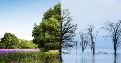 Adaptação Climática e Tecnologias Hídricas