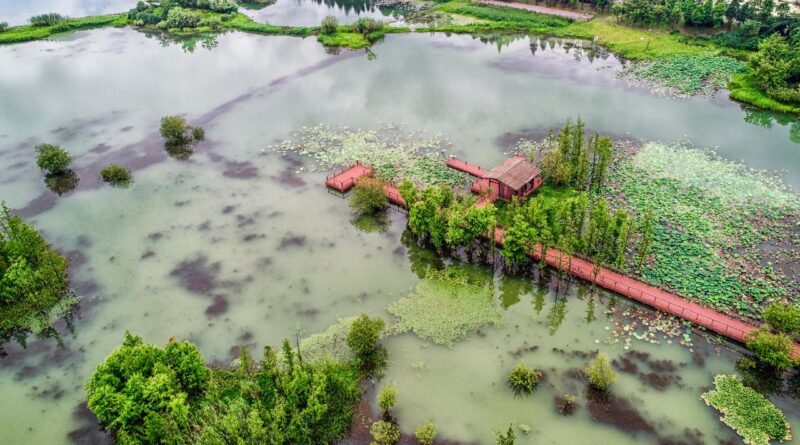 Adaptação Climática e Tecnologias Hídricas