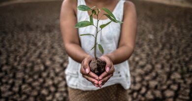 Adaptação Climática na Guiné-Bissau