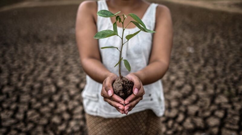 Adaptação Climática na Guiné-Bissau